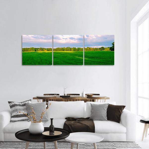 Summer Fields In Segovia Panoramic Canvas Wall Art-3 Piece-25" x 08"-Tiaracle