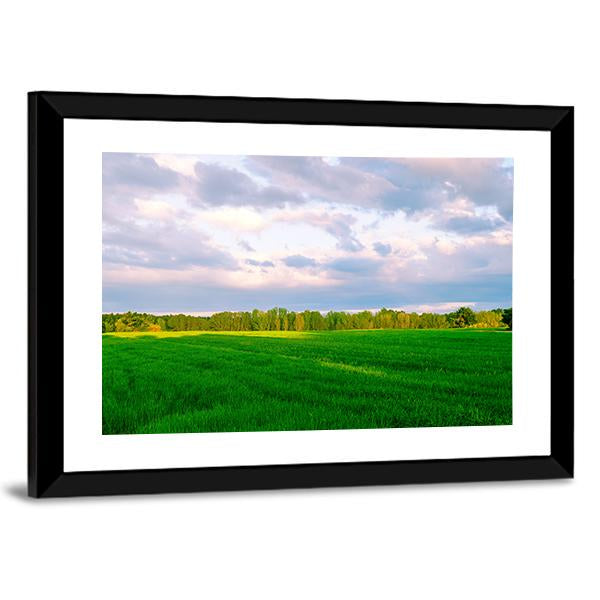 Summer Fields In Segovia Panoramic Canvas Wall Art-1 Piece-36" x 12"-Tiaracle
