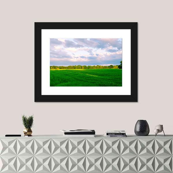 Summer Fields In Segovia Panoramic Canvas Wall Art-1 Piece-36" x 12"-Tiaracle