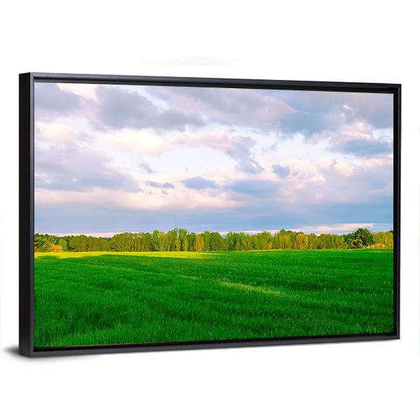 Summer Fields In Segovia Panoramic Canvas Wall Art-1 Piece-36" x 12"-Tiaracle