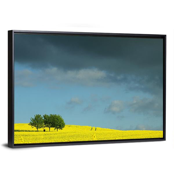 Summer In Denmark Rapse Field Canvas Wall Art-3 Horizontal-Gallery Wrap-25" x 16"-Tiaracle