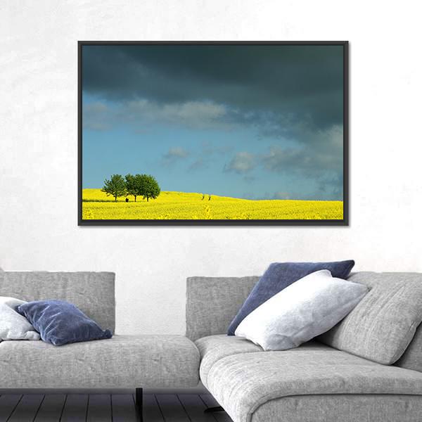 Summer In Denmark Rapse Field Canvas Wall Art-3 Horizontal-Gallery Wrap-25" x 16"-Tiaracle