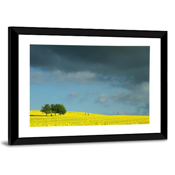Summer In Denmark Rapse Field Canvas Wall Art-3 Horizontal-Gallery Wrap-25" x 16"-Tiaracle