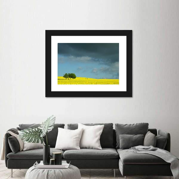 Summer In Denmark Rapse Field Canvas Wall Art-3 Horizontal-Gallery Wrap-25" x 16"-Tiaracle