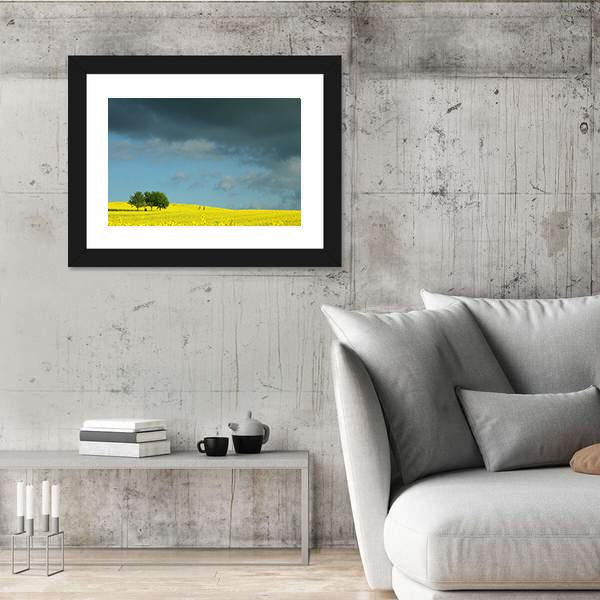 Summer In Denmark Rapse Field Canvas Wall Art-3 Horizontal-Gallery Wrap-25" x 16"-Tiaracle