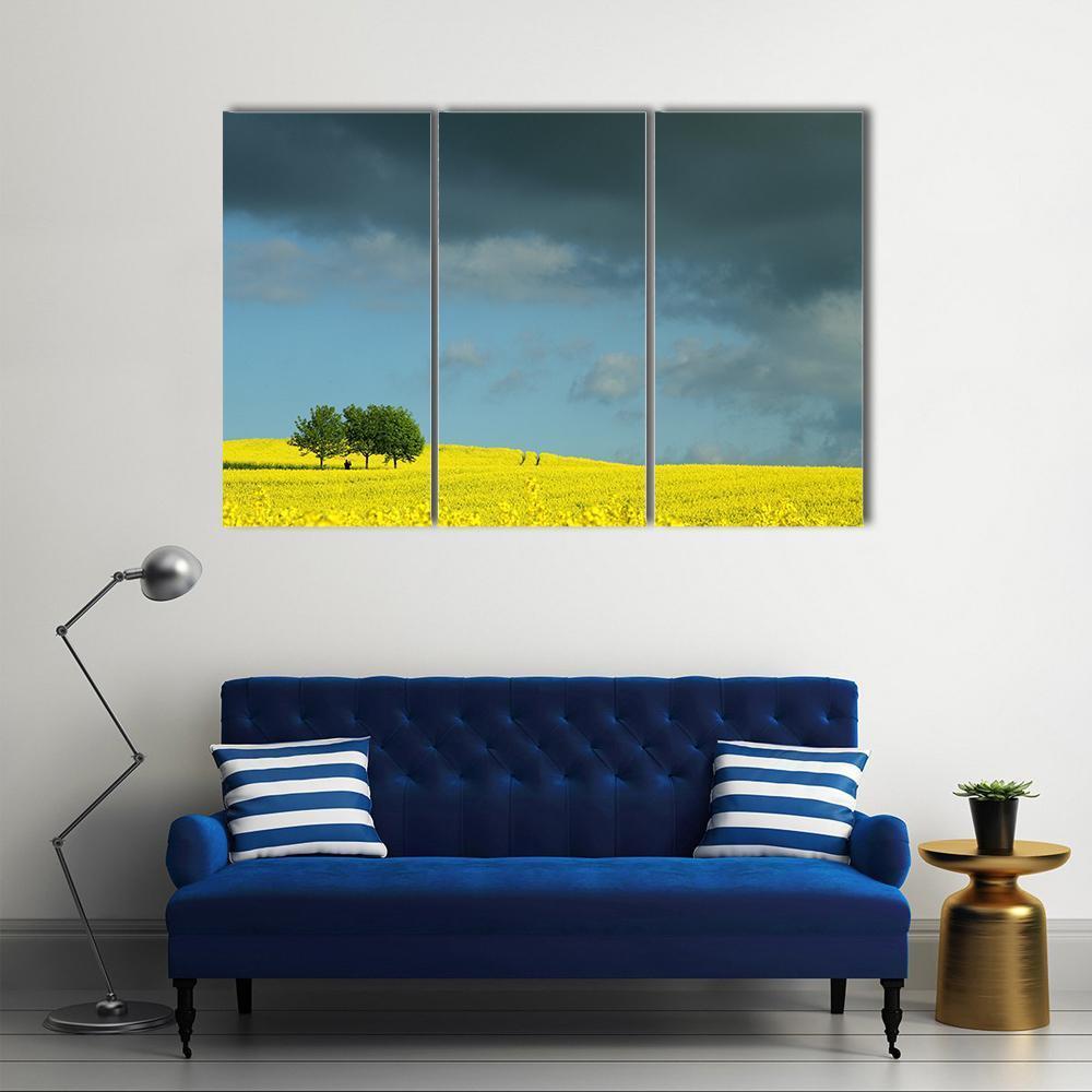 Summer In Denmark Rapse Field Canvas Wall Art-3 Horizontal-Gallery Wrap-37" x 24"-Tiaracle