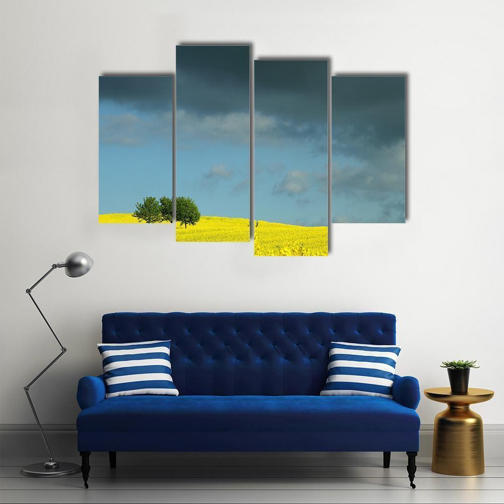 Summer In Denmark Rapse Field Canvas Wall Art-4 Pop-Gallery Wrap-50" x 32"-Tiaracle