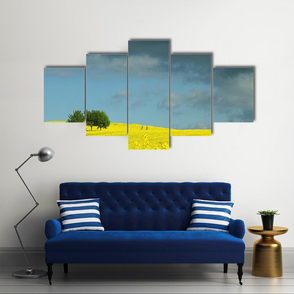 Summer In Denmark Rapse Field Canvas Wall Art-5 Star-Gallery Wrap-62" x 32"-Tiaracle