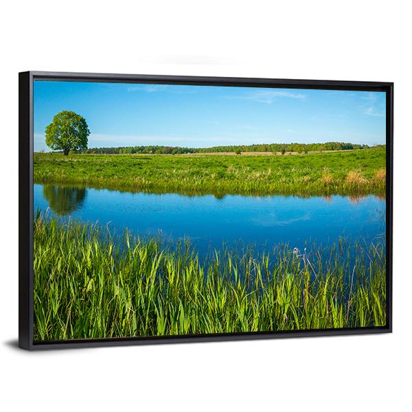Summer Landscape Near A Pond Canvas Wall Art-3 Horizontal-Gallery Wrap-25" x 16"-Tiaracle