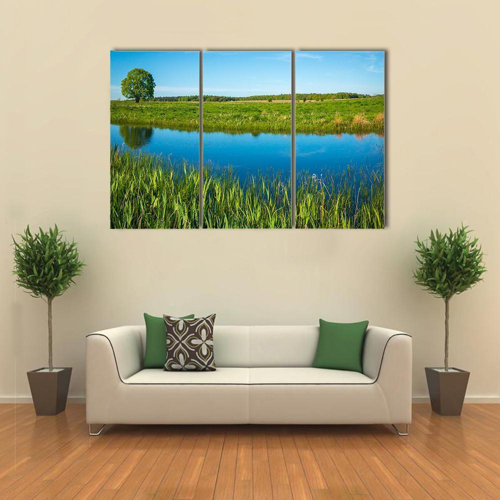 Summer Landscape Near A Pond Canvas Wall Art-3 Horizontal-Gallery Wrap-37" x 24"-Tiaracle