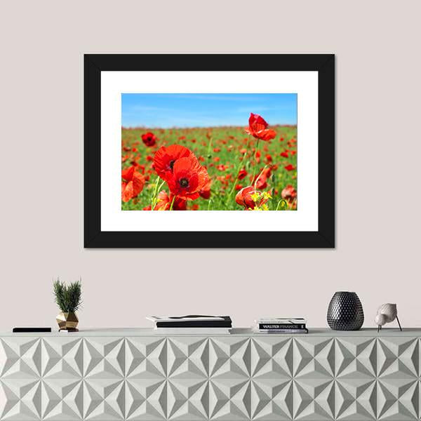 Summer Landscape Wild Poppy Flowers Field Canvas Wall Art-1 Piece-Framed Print-20" x 16"-Tiaracle