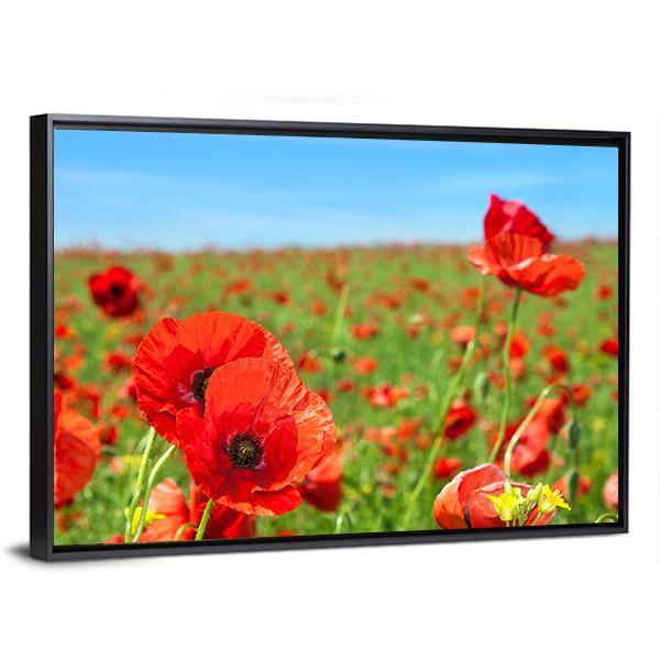 Summer Landscape Wild Poppy Flowers Field Canvas Wall Art-3 Horizontal-Gallery Wrap-25" x 16"-Tiaracle