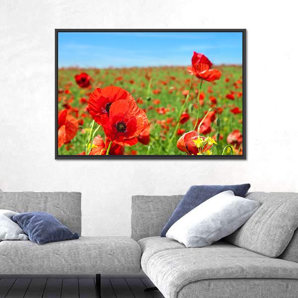 Summer Landscape Wild Poppy Flowers Field Canvas Wall Art-3 Horizontal-Gallery Wrap-25" x 16"-Tiaracle