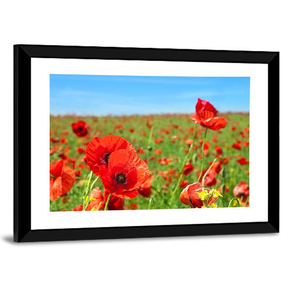 Summer Landscape Wild Poppy Flowers Field Canvas Wall Art-3 Horizontal-Gallery Wrap-25" x 16"-Tiaracle