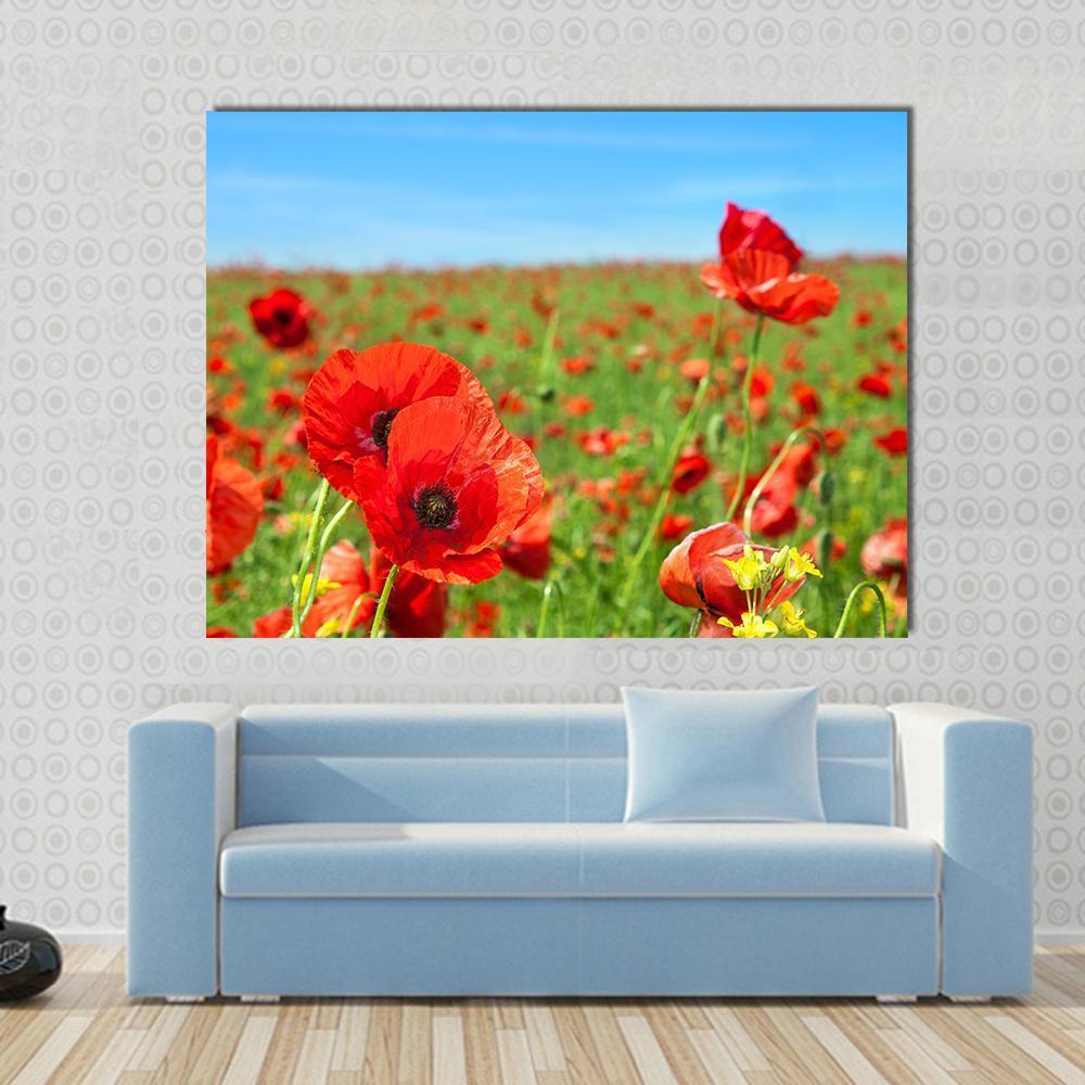 Summer Landscape Wild Poppy Flowers Field Canvas Wall Art-1 Piece-Gallery Wrap-48" x 32"-Tiaracle
