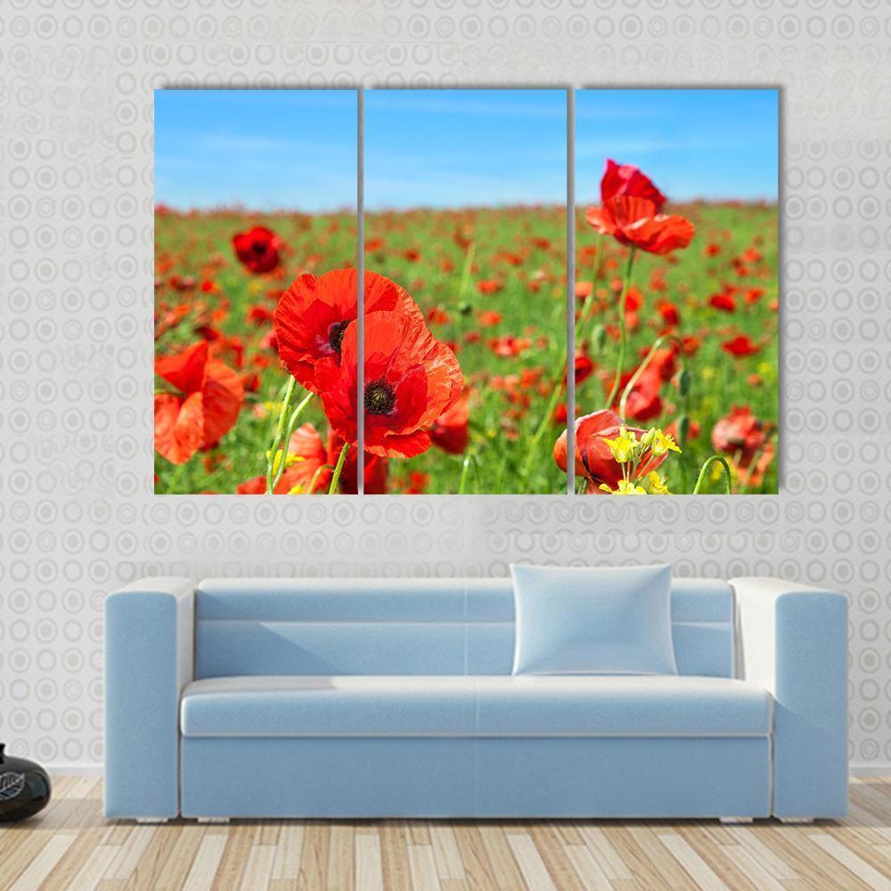 Summer Landscape Wild Poppy Flowers Field Canvas Wall Art-3 Horizontal-Gallery Wrap-37" x 24"-Tiaracle