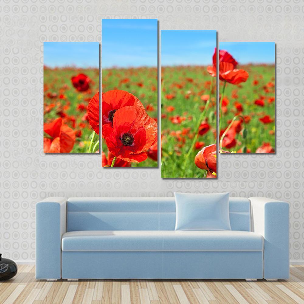 Summer Landscape Wild Poppy Flowers Field Canvas Wall Art-4 Pop-Gallery Wrap-50" x 32"-Tiaracle