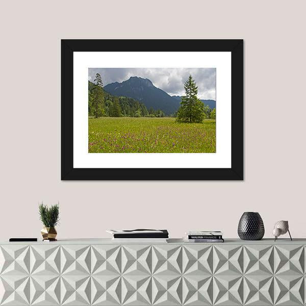 Summer Meadow With Mountain Canvas Wall Art-1 Piece-Framed Print-20" x 16"-Tiaracle