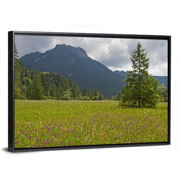 Summer Meadow With Mountain Canvas Wall Art-3 Horizontal-Gallery Wrap-25" x 16"-Tiaracle