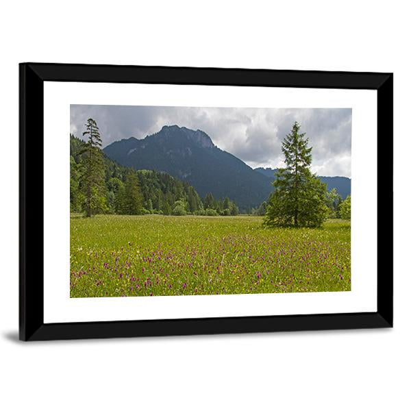 Summer Meadow With Mountain Canvas Wall Art-3 Horizontal-Gallery Wrap-25" x 16"-Tiaracle