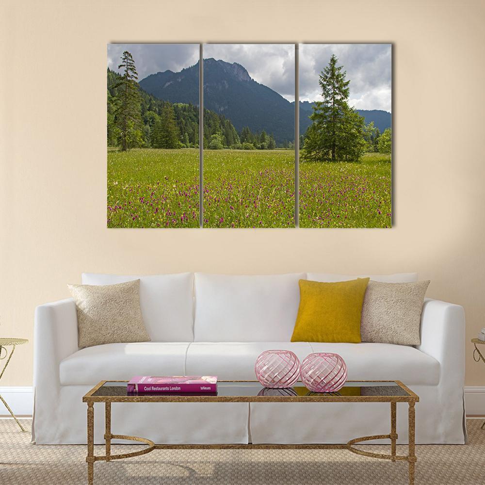 Summer Meadow With Mountain Canvas Wall Art-3 Horizontal-Gallery Wrap-37" x 24"-Tiaracle