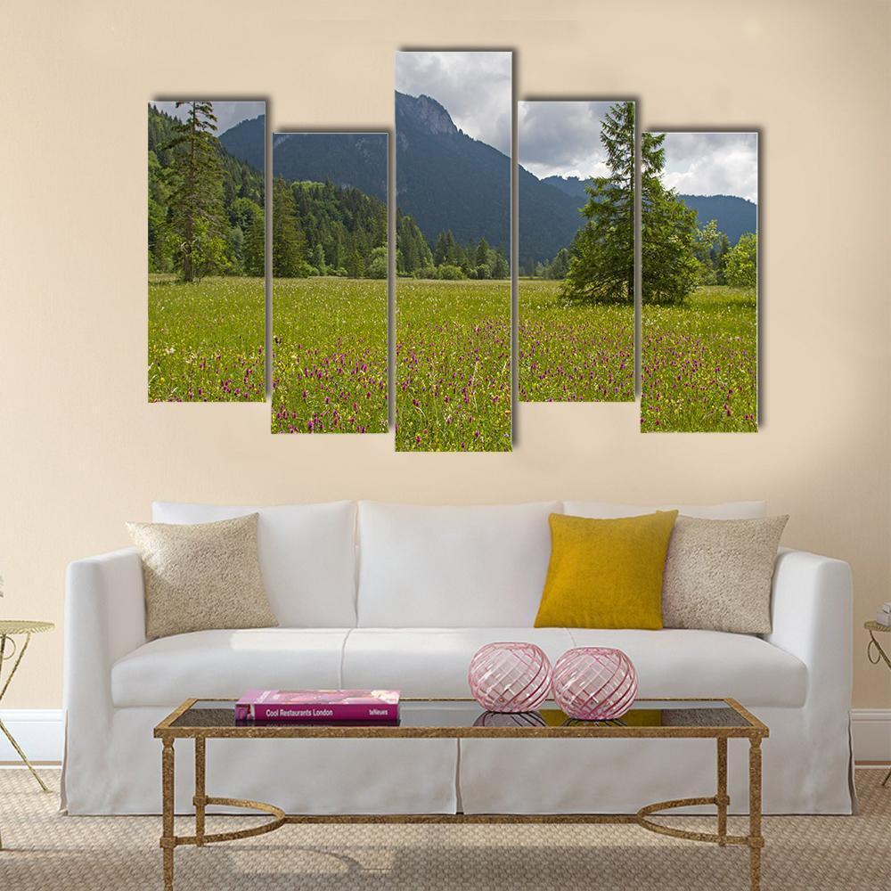 Summer Meadow With Mountain Canvas Wall Art-5 Pop-Gallery Wrap-47" x 32"-Tiaracle