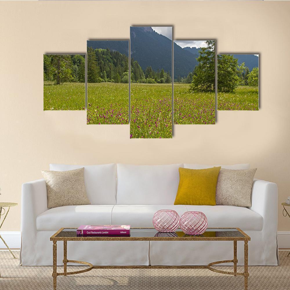 Summer Meadow With Mountain Canvas Wall Art-5 Star-Gallery Wrap-62" x 32"-Tiaracle