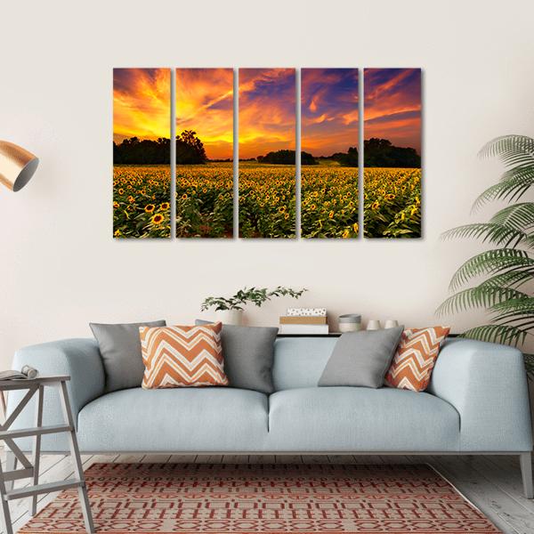 Sun Flower Field In Kansas With Sunset Canvas Wall Art-5 Horizontal-Gallery Wrap-22" x 12"-Tiaracle