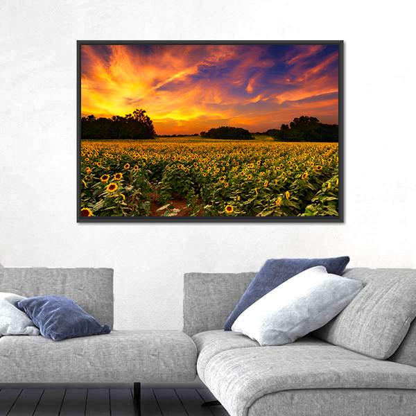 Sun Flower Field In Kansas With Sunset Canvas Wall Art-3 Horizontal-Gallery Wrap-25" x 16"-Tiaracle