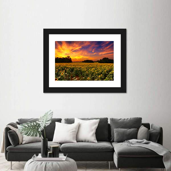 Sun Flower Field In Kansas With Sunset Canvas Wall Art-3 Horizontal-Gallery Wrap-25" x 16"-Tiaracle