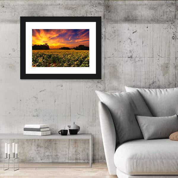 Sun Flower Field In Kansas With Sunset Canvas Wall Art-3 Horizontal-Gallery Wrap-25" x 16"-Tiaracle