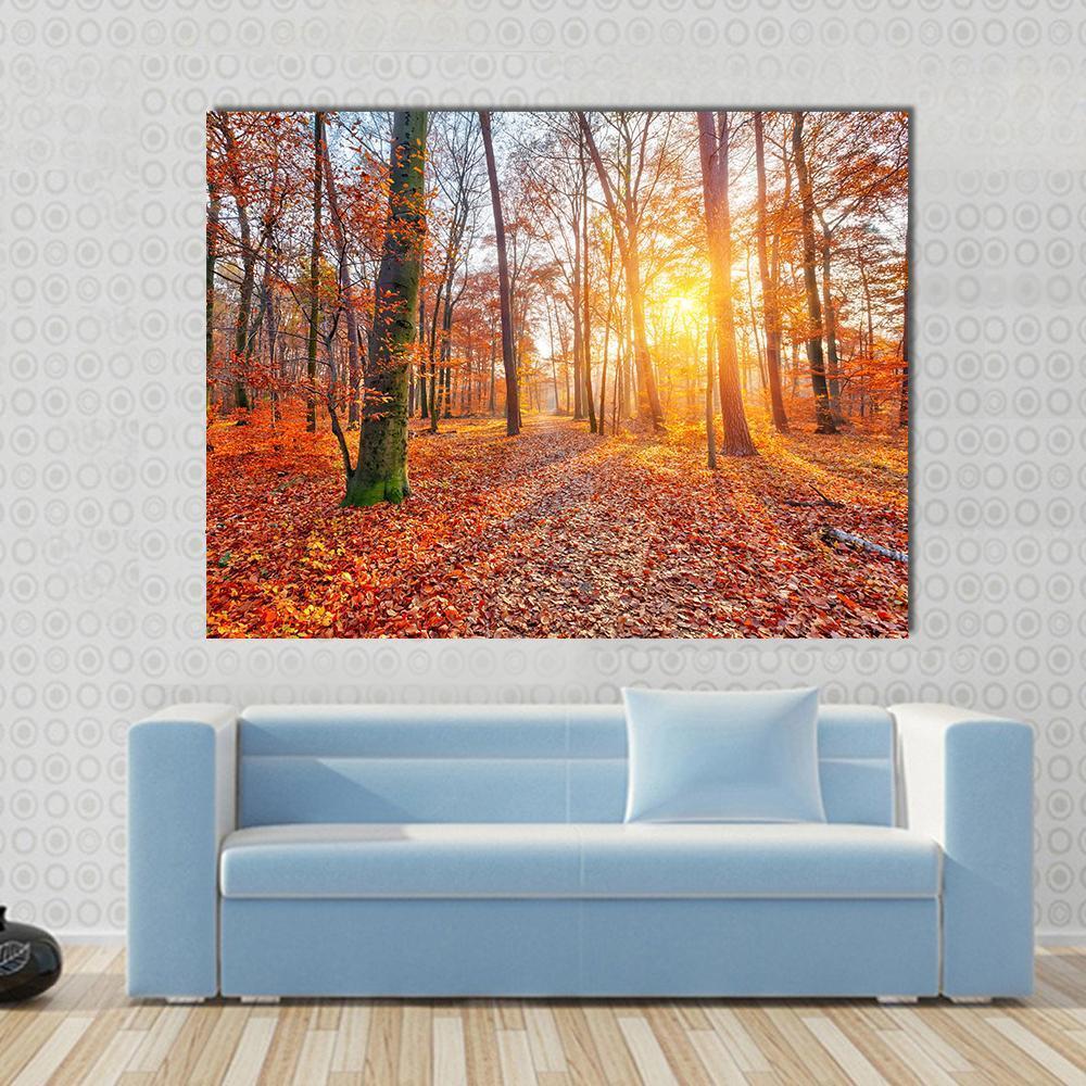 Sun in Autumn Forest Canvas Wall Art in brown, orange and yellow, single panel hung on a wall