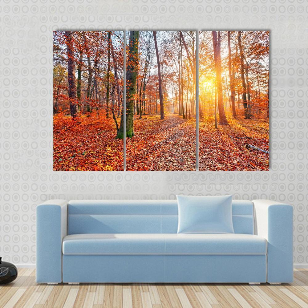 Sun In Autumn Forest Canvas Wall Art-3 Horizontal-Gallery Wrap-37" x 24"-Tiaracle