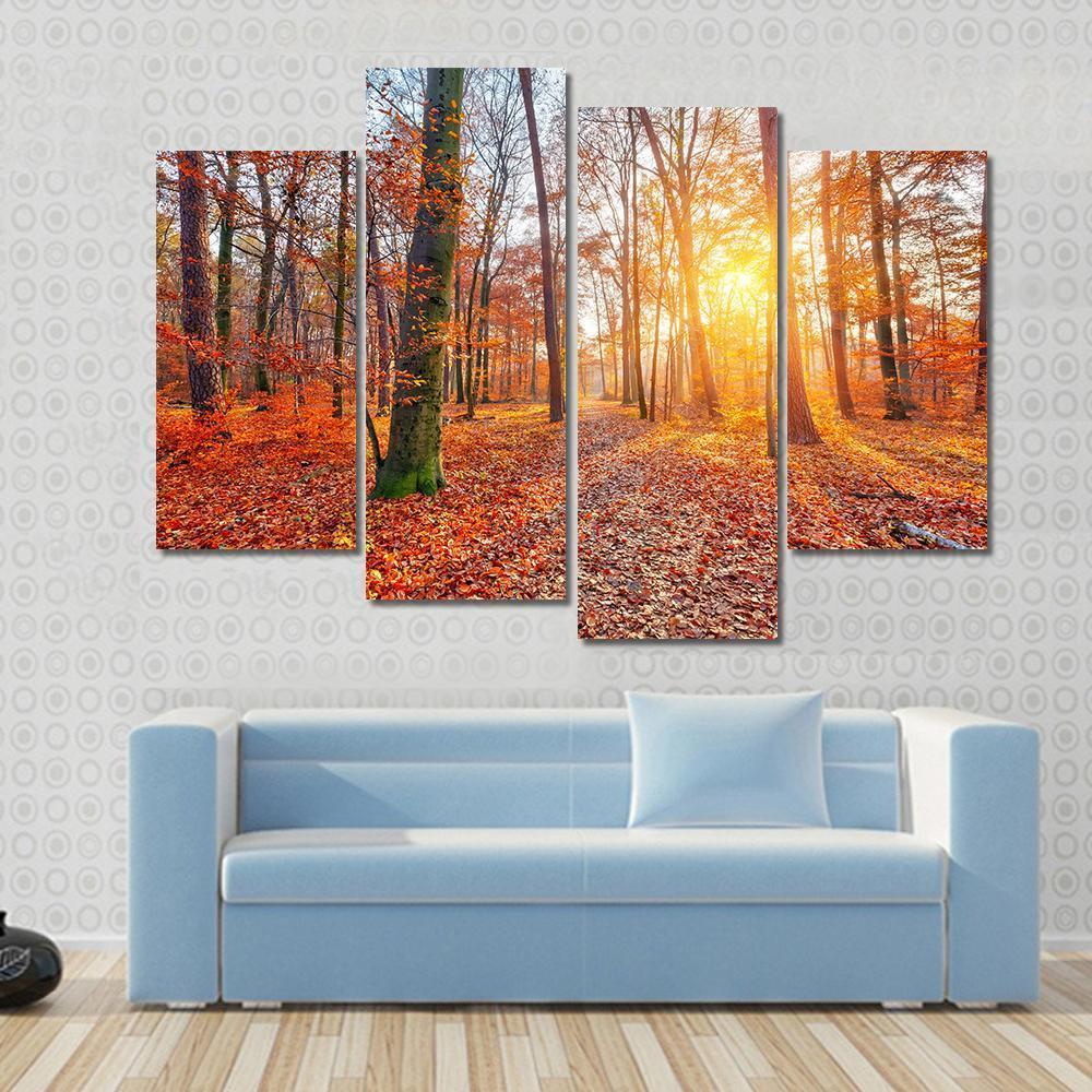 Sun In Autumn Forest Canvas Wall Art-4 Pop-Gallery Wrap-50" x 32"-Tiaracle