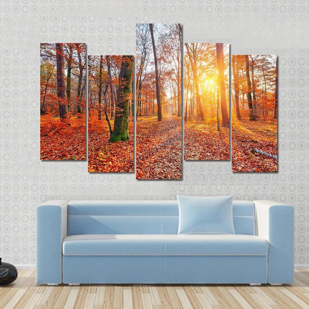 Sun In Autumn Forest Canvas Wall Art-5 Pop-Gallery Wrap-47" x 32"-Tiaracle