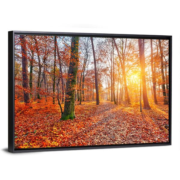 Sun In Autumn Forest Canvas Wall Art-3 Horizontal-Gallery Wrap-25" x 16"-Tiaracle