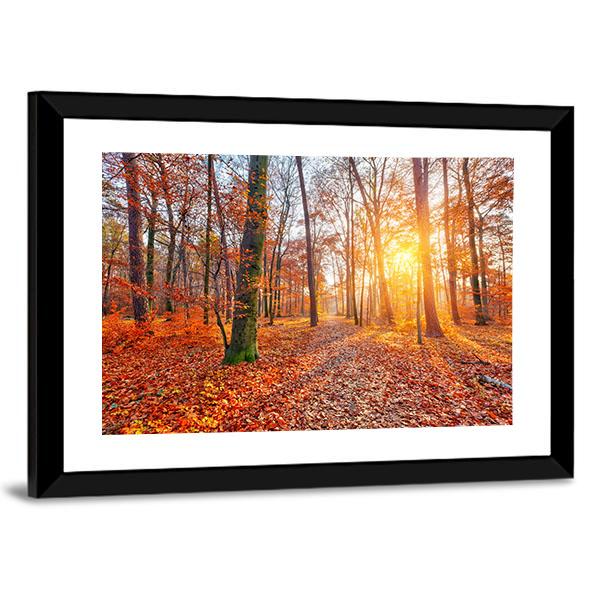 Sun In Autumn Forest Canvas Wall Art-3 Horizontal-Gallery Wrap-25" x 16"-Tiaracle