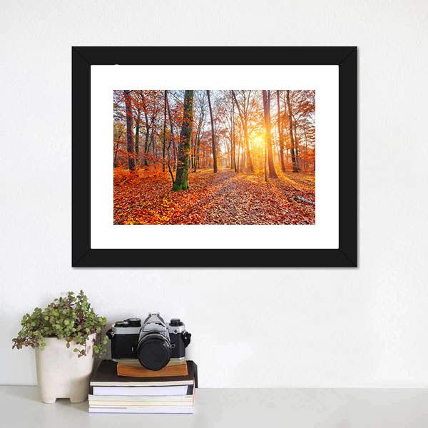 Sun In Autumn Forest Canvas Wall Art-1 Piece-Framed Print-20" x 16"-Tiaracle