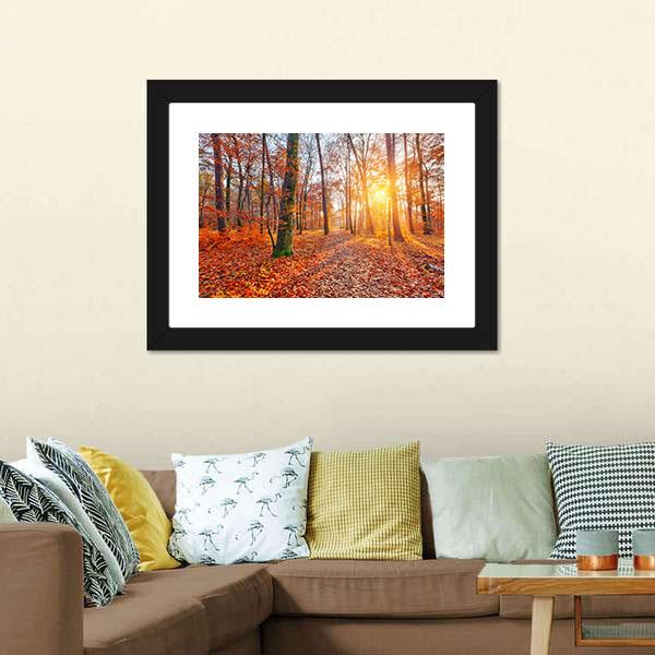 Sun In Autumn Forest Canvas Wall Art-3 Horizontal-Gallery Wrap-25" x 16"-Tiaracle