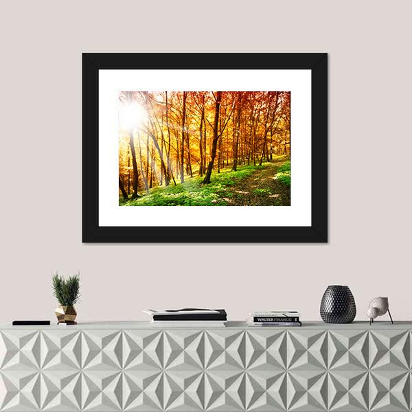 Sun In The Autumn Forest Canvas Wall Art-1 Piece-Framed Print-20" x 16"-Tiaracle