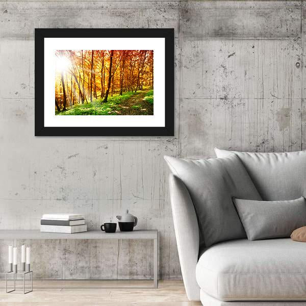 Sun In The Autumn Forest Canvas Wall Art-3 Horizontal-Gallery Wrap-25" x 16"-Tiaracle
