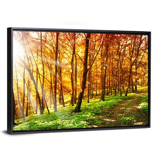 Sun In The Autumn Forest Canvas Wall Art-3 Horizontal-Gallery Wrap-25" x 16"-Tiaracle
