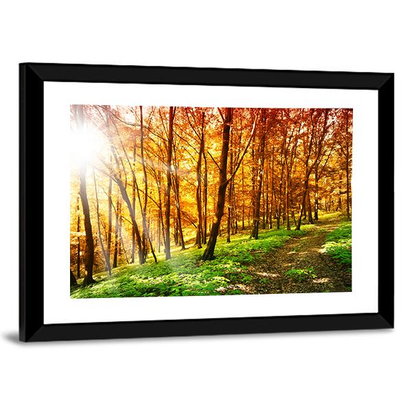Sun In The Autumn Forest Canvas Wall Art-3 Horizontal-Gallery Wrap-25" x 16"-Tiaracle