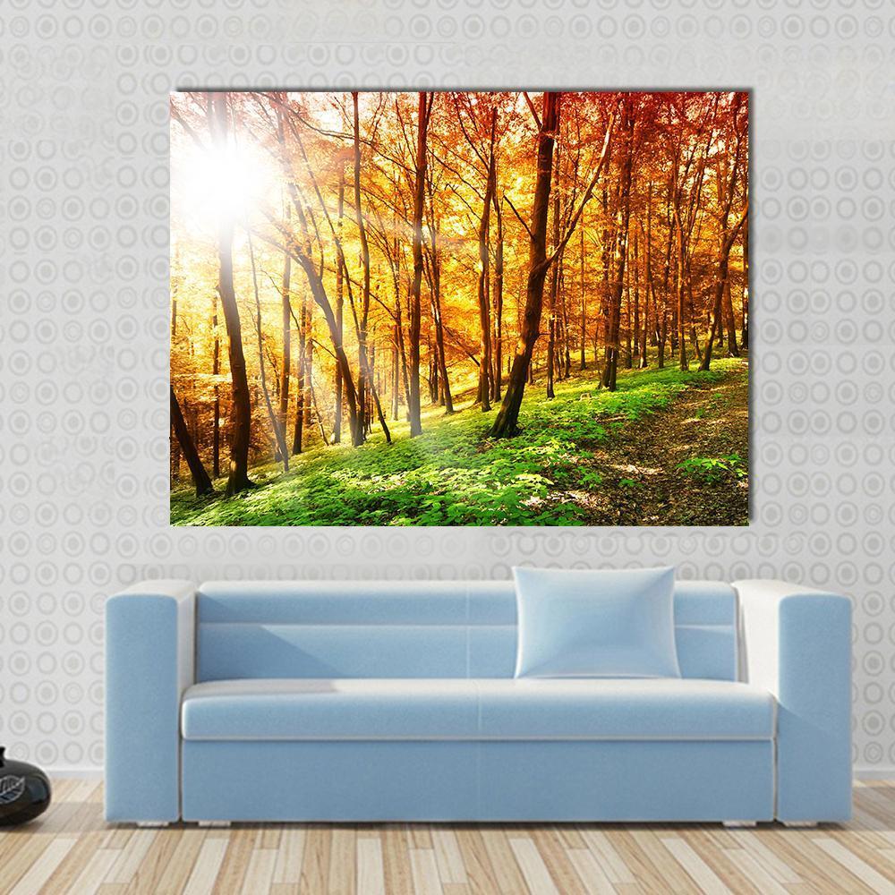 Sun in the Autumn Forest Canvas Wall Art in orange, yellow and green, single panel hung on a wall