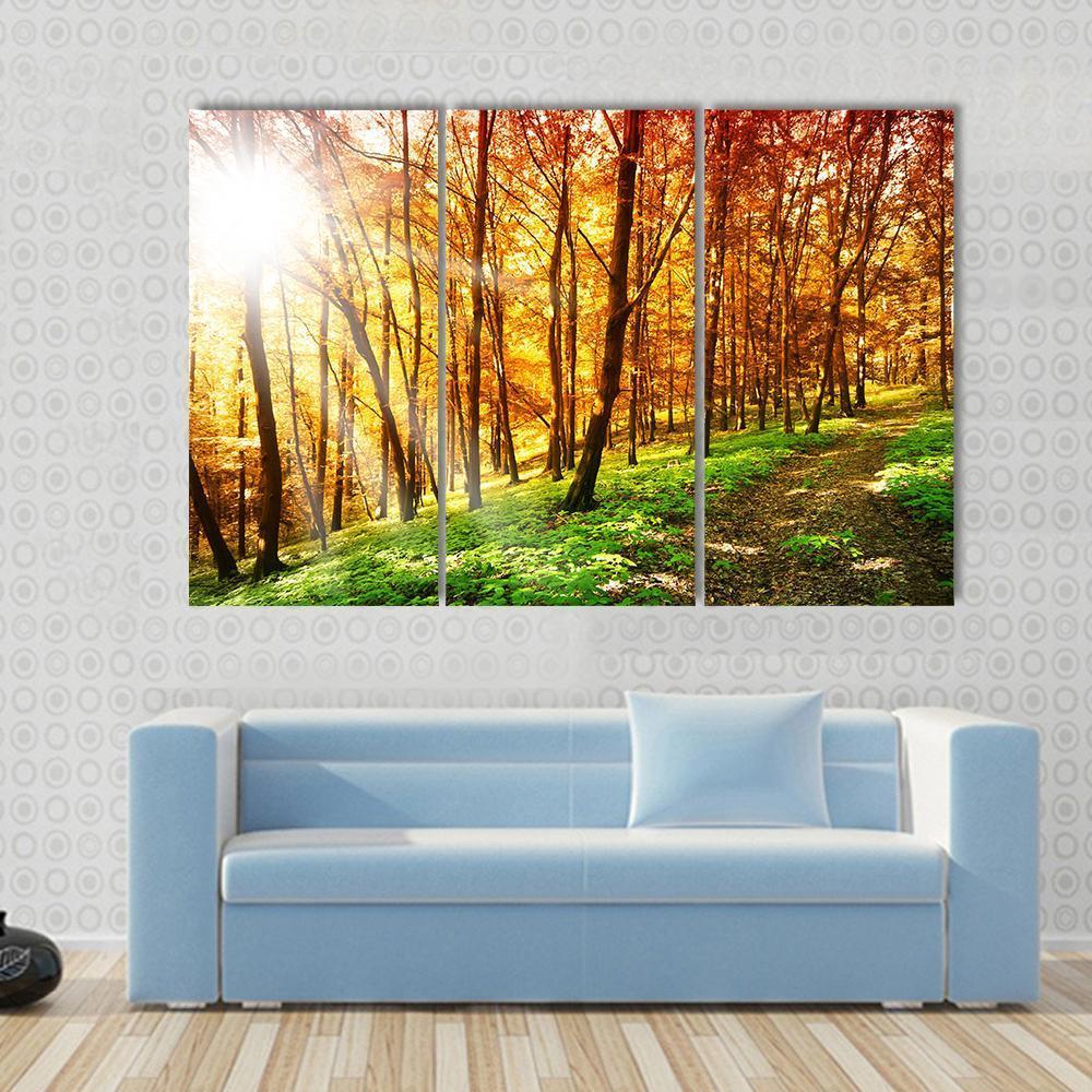 Sun In The Autumn Forest Canvas Wall Art-3 Horizontal-Gallery Wrap-37" x 24"-Tiaracle