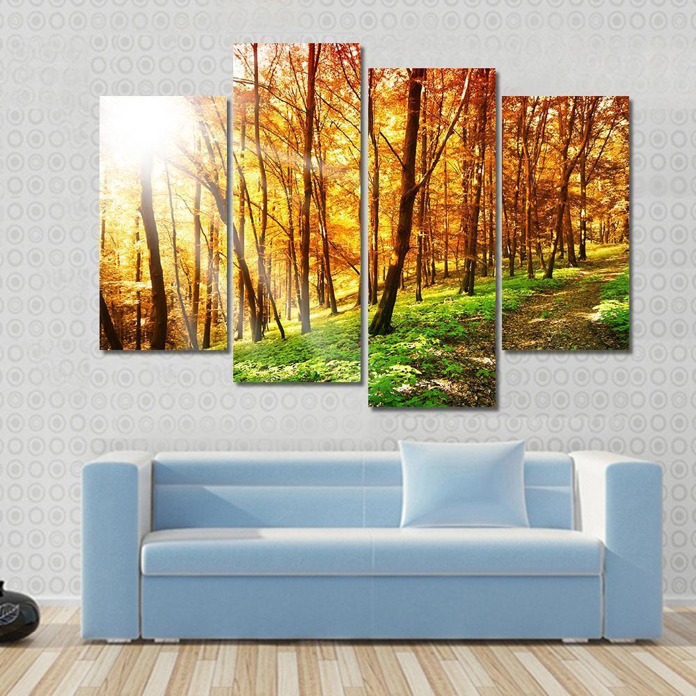 Sun In The Autumn Forest Canvas Wall Art-4 Pop-Gallery Wrap-50" x 32"-Tiaracle