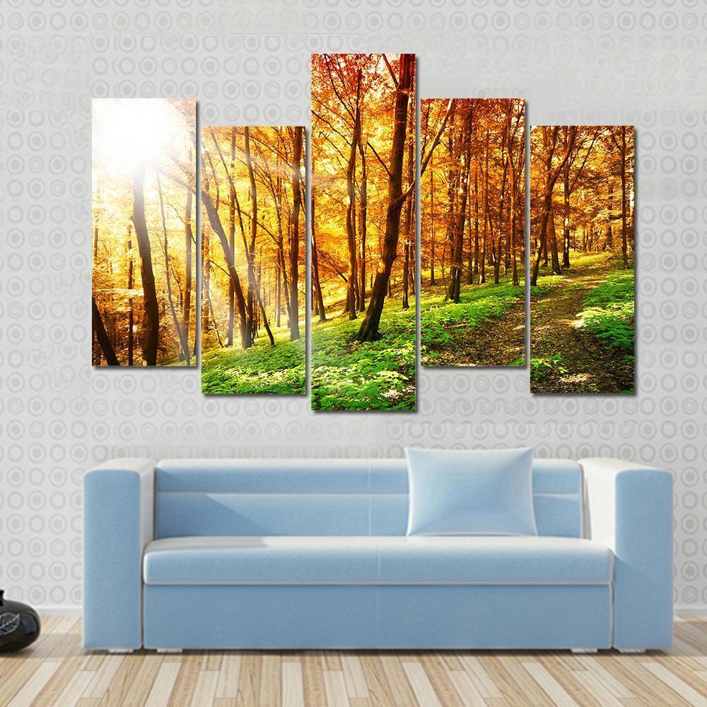 Sun In The Autumn Forest Canvas Wall Art-5 Pop-Gallery Wrap-47" x 32"-Tiaracle