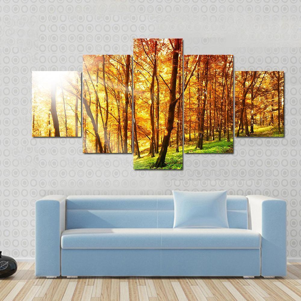 Sun In The Autumn Forest Canvas Wall Art-5 Star-Gallery Wrap-62" x 32"-Tiaracle