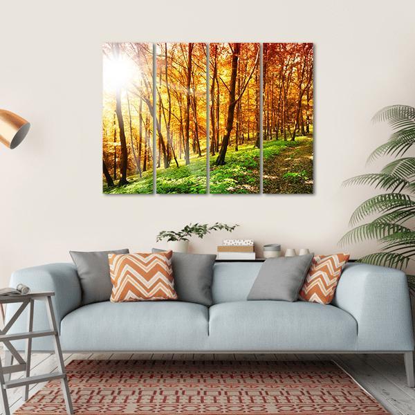 Sun In The Autumn Forest Canvas Wall Art-4 Horizontal-Gallery Wrap-34" x 24"-Tiaracle