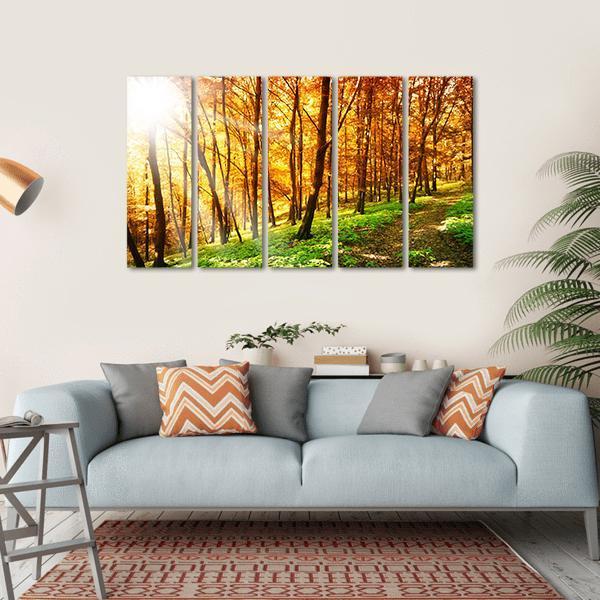 Sun In The Autumn Forest Canvas Wall Art-5 Horizontal-Gallery Wrap-22" x 12"-Tiaracle